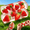 2PC A, variant on 2 PC Strawberry Stick Squishy Toys, Slow Rising Clear Strawberry Cube Squeeze Stress Balls, Stress Relief Squishies Soft & Stretchy Fidget Toys for Anxiety Relief Party Favors #A