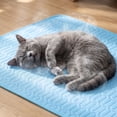 thumbnail image 5 of Cooling Mat for Dogs Ice Silk Cooling Mat for Dogs 20 Inch by 16 Inch Pet Cooling Mat Soft Breathable Dog Cooling Pad for Indoor Outdoor Use for Dogs Cats Blue 1 Pack, 5 of 6