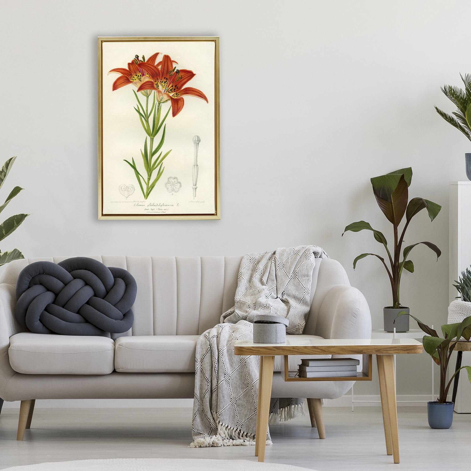 Stupell Industries Western Red Lily Gold Framed Floater Canvas Wall Art, design by Print Collection
