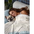 thumbnail image 6 of Full Size Flat Sheet Only, Teal Tulip Soft Brushed Microfiber Bed Sheets, Vintage Spring Floral Summer Botanical Brown Hotel Quality Breathable Bedding Top Sheet, Easy Care, 81"x96", 6 of 9