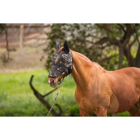 Mackey Fly Mask Bee's Print (L)
