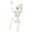 36", variant on Leutsin Halloween Posable Skeleton, Full Body Life Size Lightweight Skeletons with Movable Joints, Realistic Plastic Bones Model for Spooky Halloween Decorations Indoor Outdoor Yard Decor, 16"