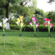 thumbnail image 4 of Luces decorativas florales para jardín solar al aire libre, luces decorativas de paisaje de paso (paquete de 2) Adepaton CPB-US-DYP998-2, 4 of 5
