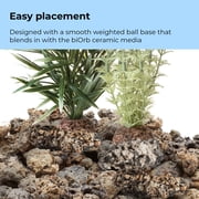 biOrb Medium Ambulia Plant Set - Aquarium Plant Decoration