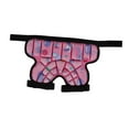 thumbnail image 2 of Pantalones Cortos Protectores de Cadera Acolchados para Niños, Pantalones Cortos Acolchados, Cojín EVA 3D, Equipo Protector de Esquí Ajustable para Pa Rosa, 2 of 8