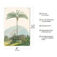 thumbnail image 2 of Palm Tree (Oenocarpus Distichus) - Brazil - Vintage Botanical Illustration by Carl Friedrich Philipp von Martius c.1820s - 8 x 12 inch Vintage Metal Tin Sign, 2 of 4