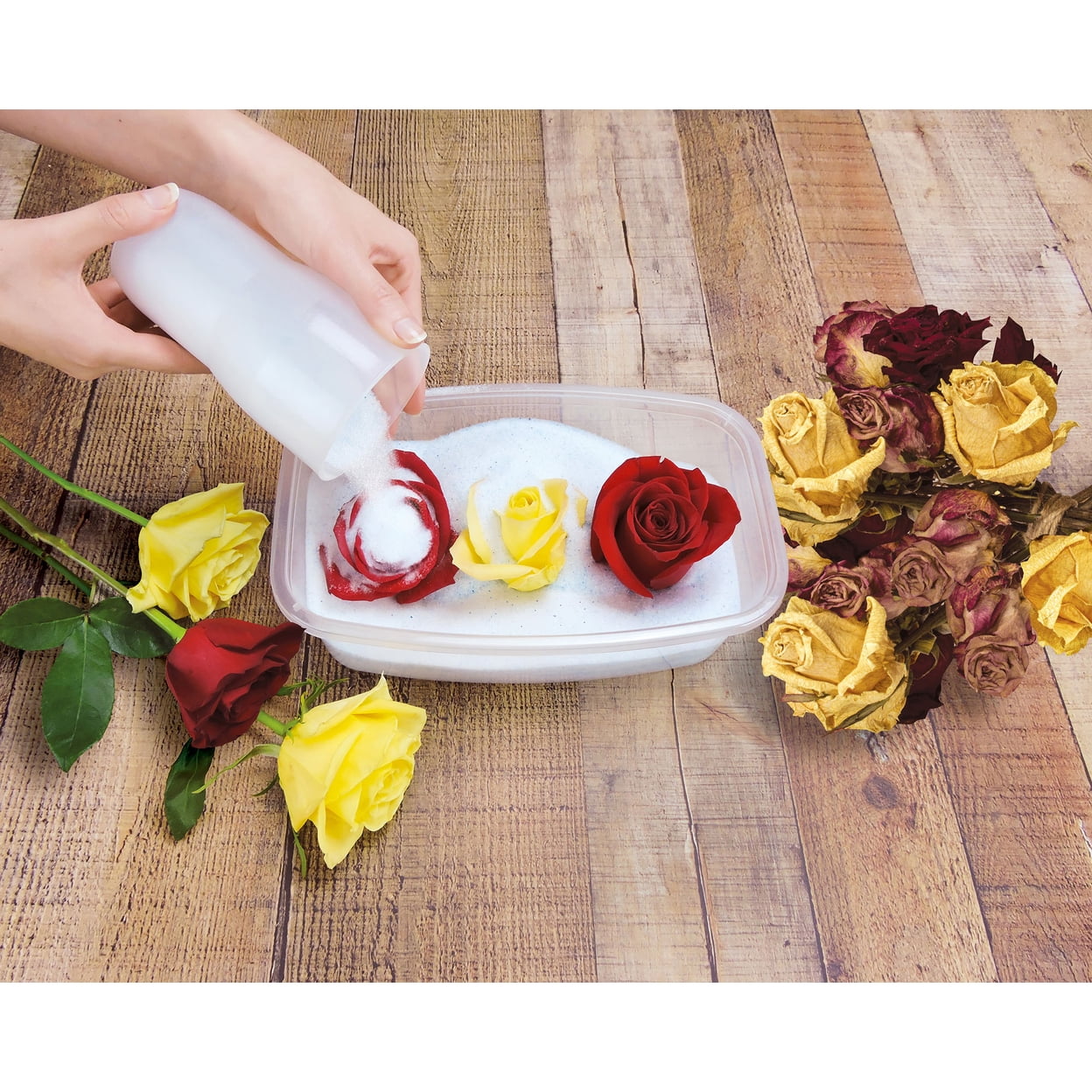 ACTIVA Flower Drying Art Silica Gel Craft Kit, 5 Lbs