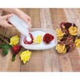thumbnail image 4 of ACTIVA Flower Drying Art Silica Gel Craft Kit, 5 Lbs, 4 of 4