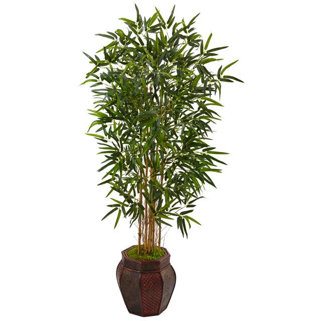 5 Bambou Arbre dans la Conception de Tissage Planteur