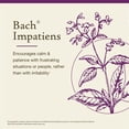 thumbnail image 3 of Bach Flower Essences  Impatiens 20 ml (0,7 oz. líq.), 3 of 6