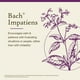 thumbnail image 3 of Bach Flower Essences  Impatiens 20 ml (0,7 oz. líq.), 3 of 6