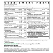 Mens One Multivitamin with Vitamin C, D, Zinc, and Probiotics | 60 Vegetarian Caplets | by Rainbow Light