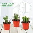 thumbnail image 5 of 4 IN/6 IN Flowerpots Small Plastic Plant Nursery Pots/flowerpots Seedlings, Flowers, Plant Containers, Seed Starting Pots, Plant Labels., 5 of 7