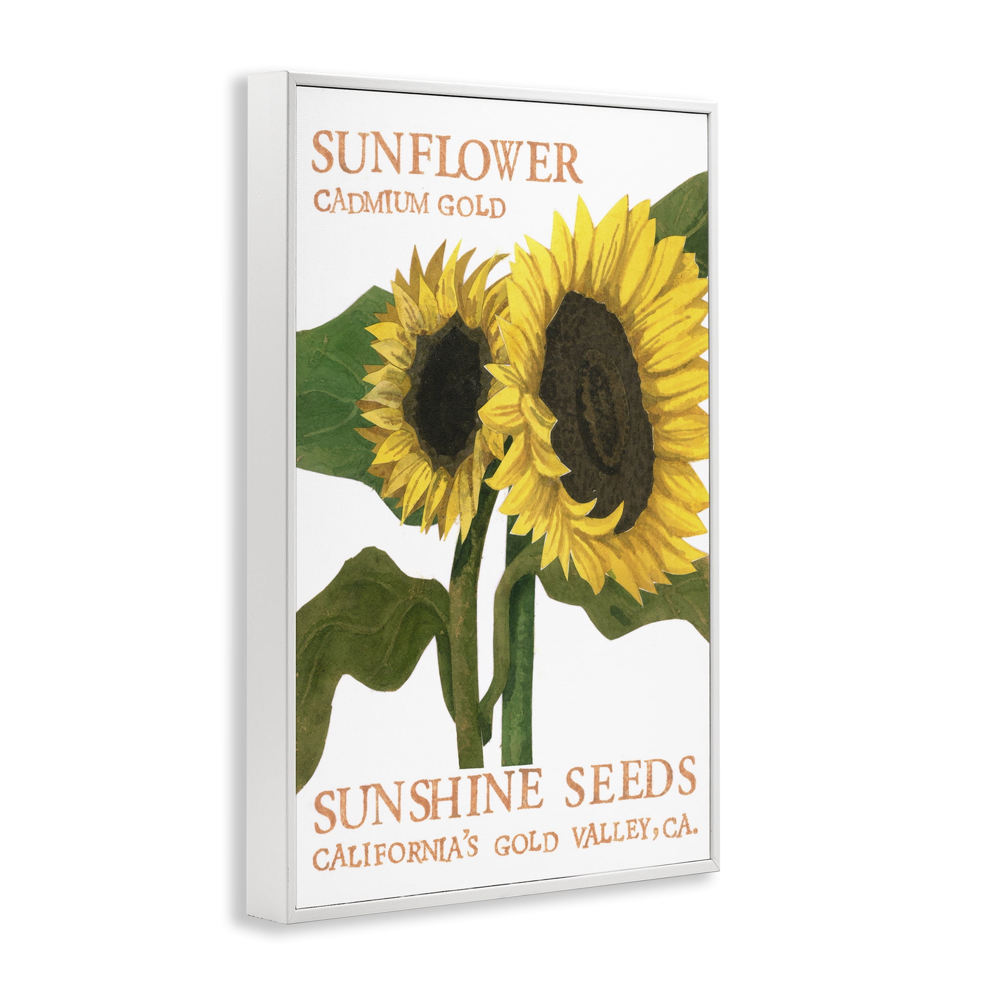 Stupell Industries Sunflower Seeds Design Typography Painting White Framed Art Print Wall Art, 16 x 24