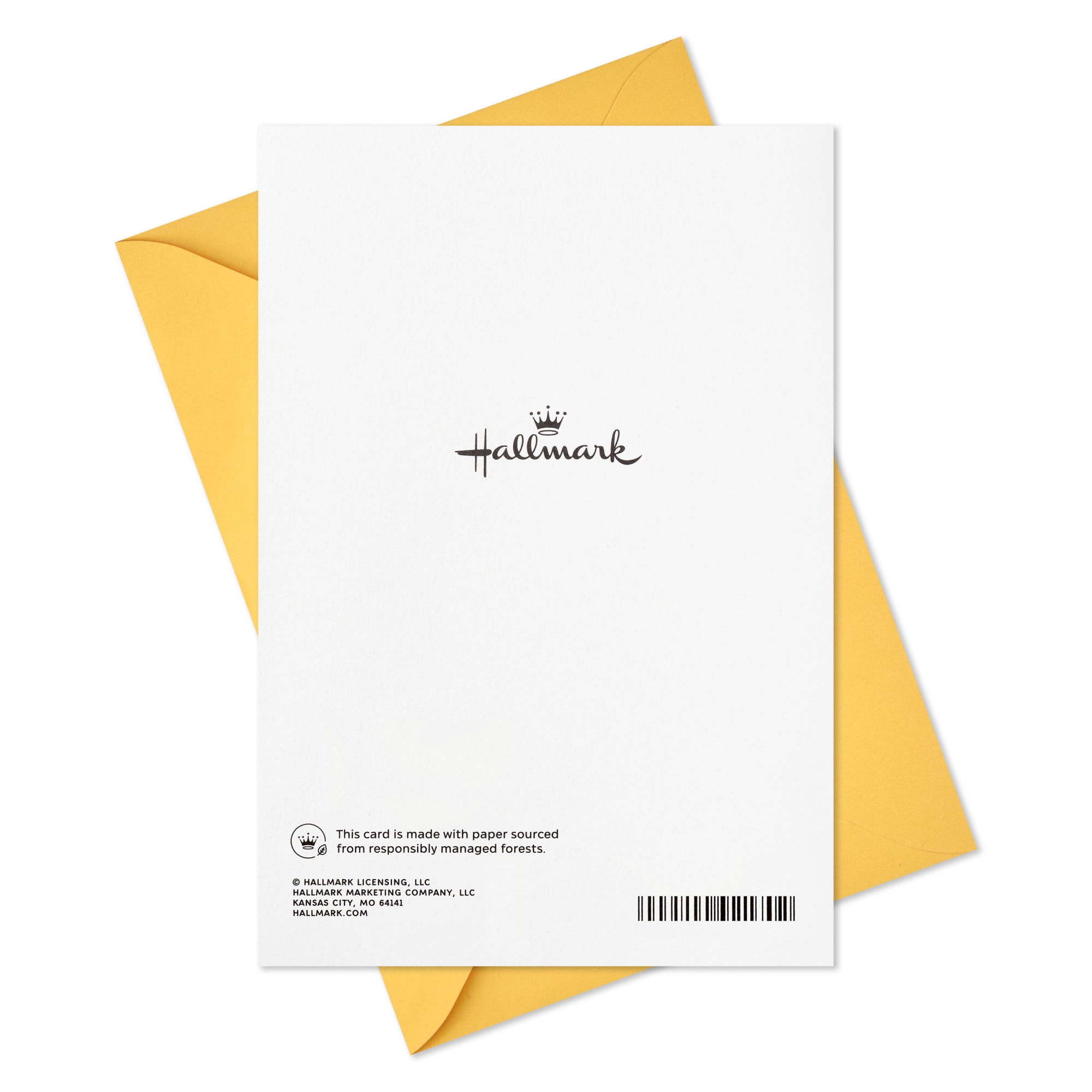 Hallmark 13th Birthday Card (Awesome and Cool)