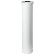 Pentair/Pentek Filter Cartridge,25 micron,4 gpm,20" H 155247-75