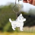 thumbnail image 6 of Dog Fur Keepsake, Dog Hair Collector Keychain, DIY Pet Fur Memory Capsule, Cute Dogs Hair Collector Keychain, Transparent Refillable Pet Furs Keepsake Storage, Gifts for Pet Lovers, Style A, 6 of 9