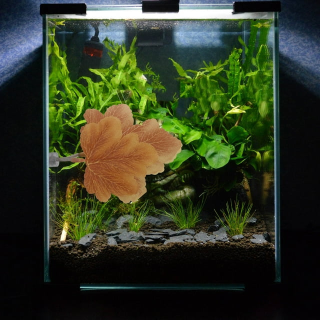 unbranded Descanso Y Reproducción De Betta Con Hoja Decorativa De Acuario Ventosa Fácil Instalación
