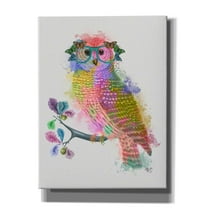 Epic Graffiti 'Rainbow Splash Owl' by Fab Funky Canvas Wall Art, 26"x34"