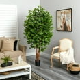 thumbnail image 5 of Nearly Natural 5402 Arbre Ficus de Luxe, 6,5 Pieds, Vert, 5 of 5