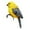 Yellow, variant on Lifelike Resin Bird Figurine Statue Decorative Garden Fence and Flower Pot Hugger Ornament for Patio Balcony Yard