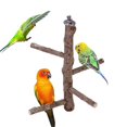 thumbnail image 1 of Soporte de madera natural Mogoko para loros y pájaros, 1 of 8