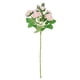 thumbnail image 2 of 8 Cabezas de Flores Rosas Artificiales de Ramificación Larga para Decoración de Bodas Rosa blanco, 2 of 9