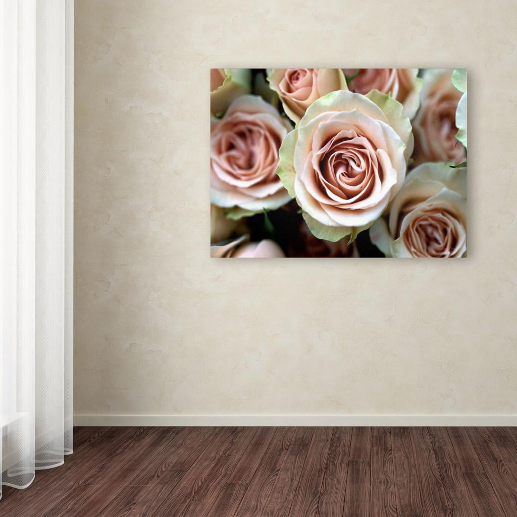 Trademark Fine Art 'Pale Pink Roses' Canvas Art by Kathy Yates