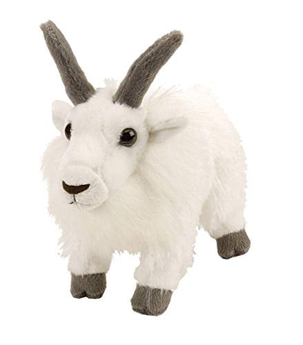 goat teddy