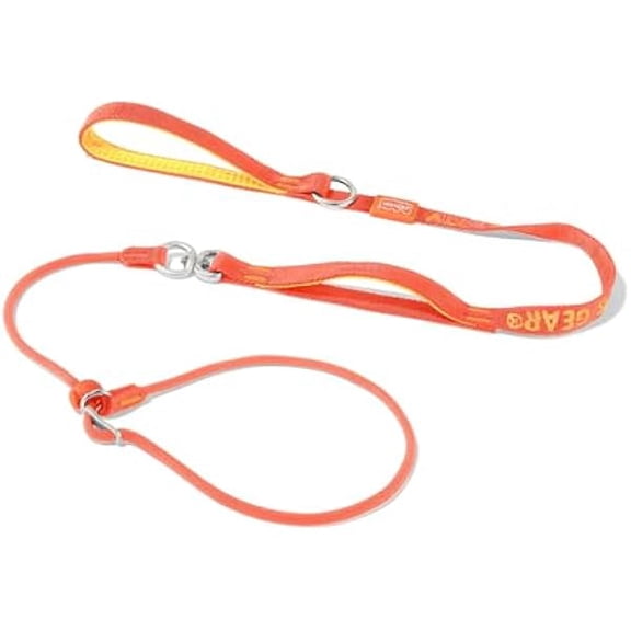 Eryueer Howgo Dog Slip Lead Dog Leash, Training Leash, No-Pull Lightweight Slip Lead and Collar, Heavy Duty & Durable, Padded Handle, for All Breeds (Orange, 5.5FT)
