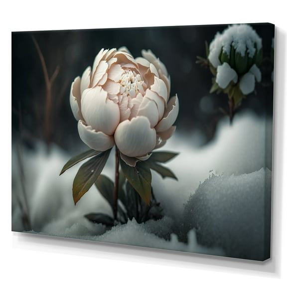 Designart A Blooming White Peony Flower In Winter I Canvas Wall Art