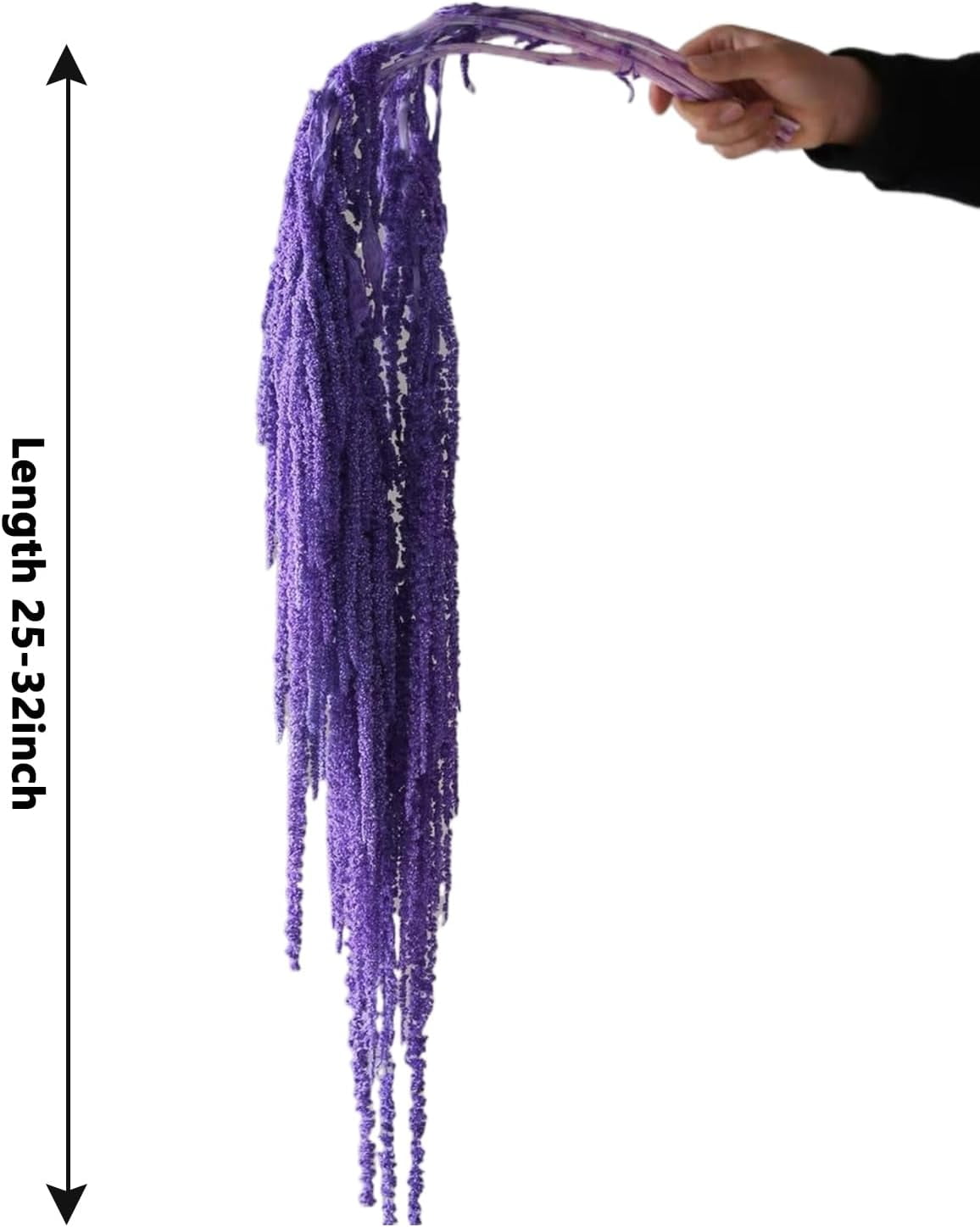 Wisteria Vine Hanging Flowers: 5Pcs Real Preserved Dried Amaranthus Flowers for Wedding, Flower Arrangement, Vase, 23"-26" Hanging Wisteria Flowers for Arch Decor Home Decor (Purple)