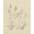 thumbnail image 2 of Great Art Now Vintage Nature Sketchbook IV by Danhui Nai, Canvas Wall Art, 16W x 20H, 2 of 2