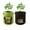 🔥 Stochastic, variant on 7 Gallon Growing Bag Non-Woven Planter Pot with Flap Handles Breathable Fabric Reusable for Potato Tomato Onion Root Vegetables Indoor Outdoor Easy Harvest Seasonal Savings for the Holidays