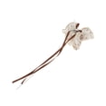 thumbnail image 4 of Unique Bargains 1 Pc Claw Clip Fashion Scalloped Ribbon Hair Clip Coffee Color, 4 of 5