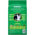 Iams MiniChunks Adult Digestion Support HighProtein Small Kibble