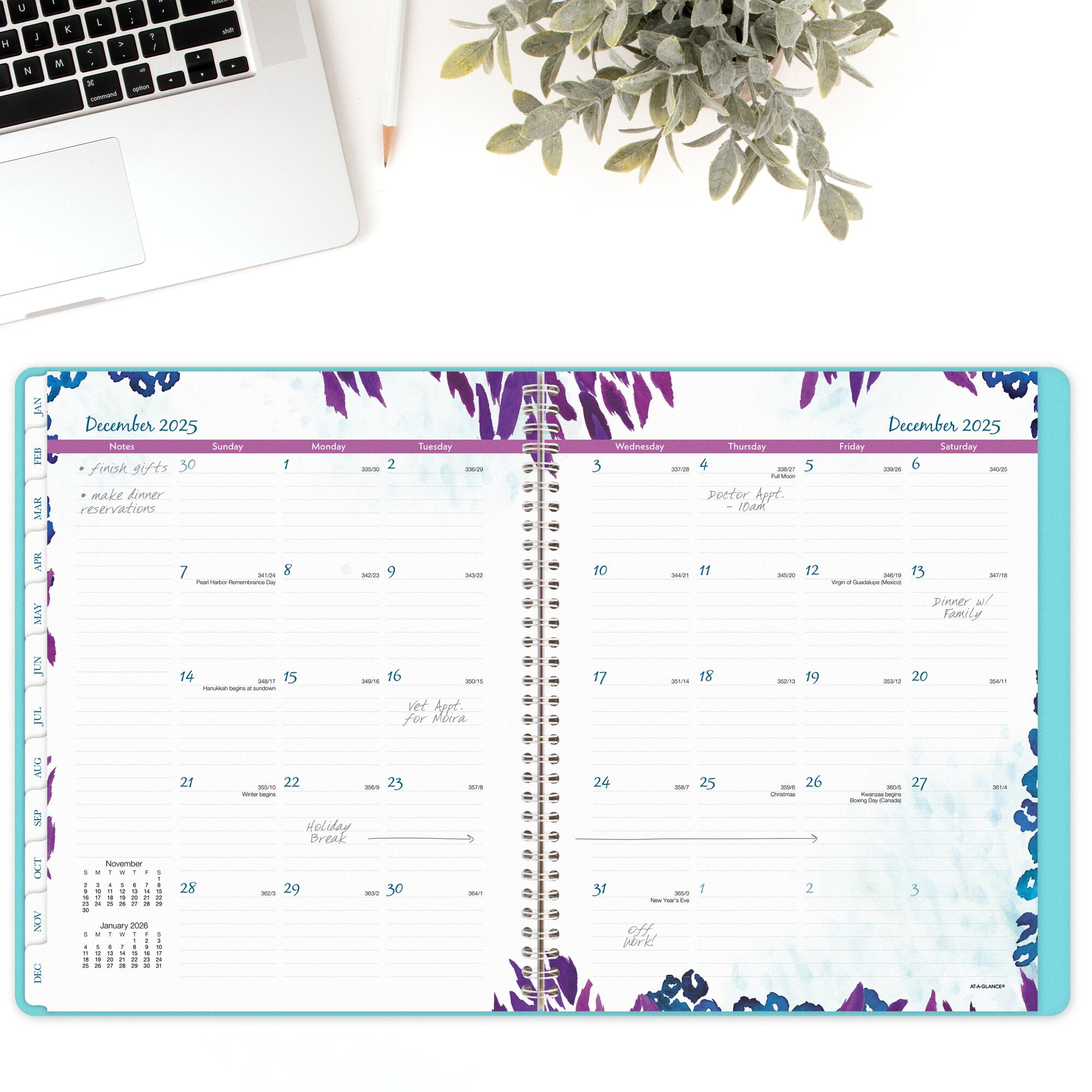 AT-A-GLANCE Wild Washes 2025 Weekly Monthly Appointment Book Planner Teal Large