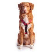 Sporn Ultimate Control Dog Harness, No Pull Adjustable Nylon Walking Harness for Small Dogs, Red, (14-24 Girth Size)