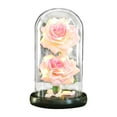 thumbnail image 2 of Romantic Glass Rose Dome with Wood Base, Artificial Flower Display Dome for Wedding Centerpiece, Valentine's Day Gift, Home Decor, Glass Cloche with LED Lights, 4.33x8.46 Inch, 2 of 2