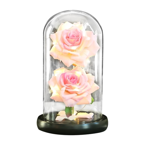 EWSFHUI Preserved Flower Rose Valentines Day Gifts for Her Forever Eternal Rose in Glass Dome Roses Gifts for Women Mom Wife Grandma/Birthday (Pink)