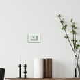 thumbnail image 3 of Honeywell Home 5-2 Day Programmable Thermostat, New, RTH6360D1002/E, 3 of 5