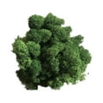 thumbnail image 1 of Artificial Green Moss Grass for Wall Decor - DIY Home Living Room Decorative Floral Accessory, 1 of 2
