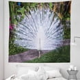 thumbnail image 1 of Peacock Tapestry, Peacock Open His Tail Feathers in Tropical Garden Unusual Birds Nature Ornament, Fabric Wall Hanging Decor for Bedroom Living Room Dorm, 5 Sizes, White Green, by Ambesonne, 1 of 1