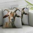 thumbnail image 6 of Happy Goat Farmhouse Pillows - Farmhouse Pillow Cover - Farm Animal Pillow Cover - Farmhouse Pillow Covers - Rustic Decor Pillow, 6 of 7