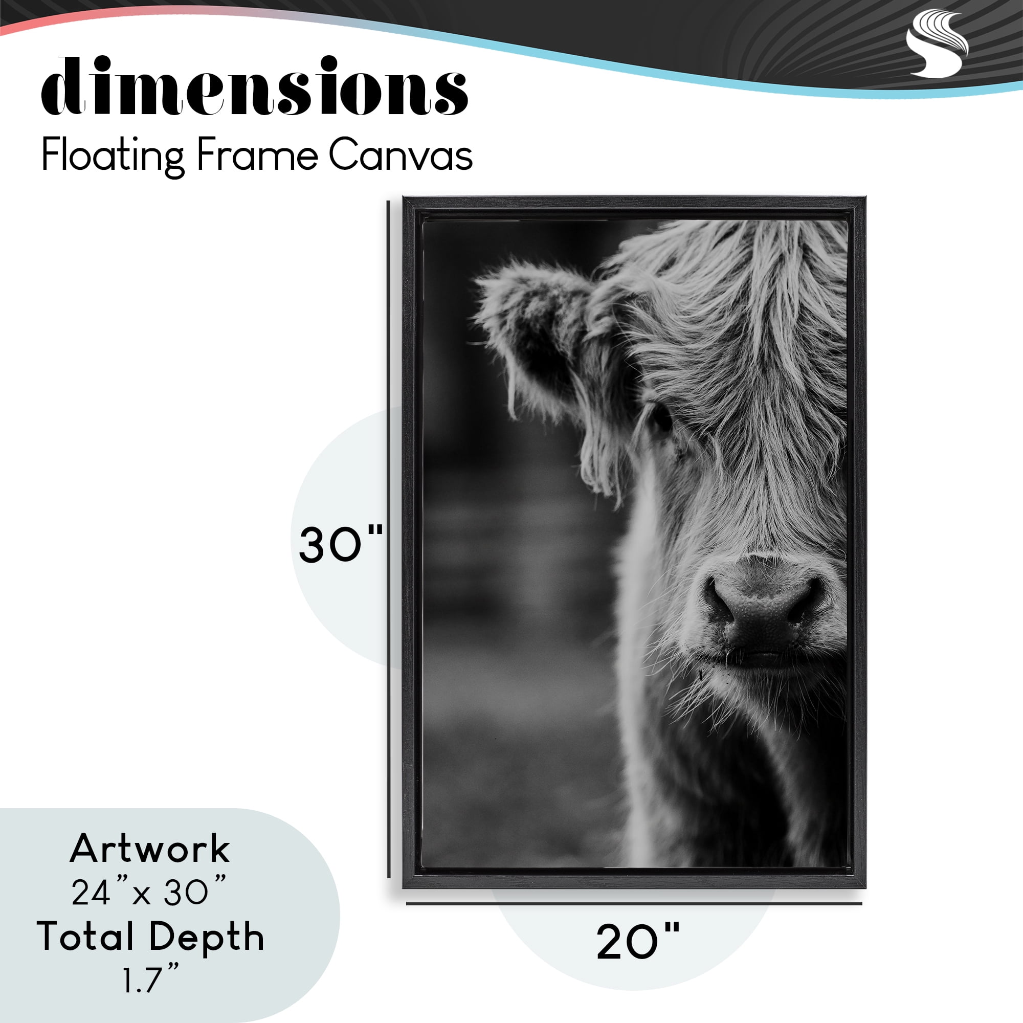 Baby Cow Face Black Framed Floater Canvas Wall Art, design by Amy Carroll