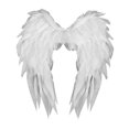 thumbnail image 3 of Accesorios de disfraz de alas de ángel para cosplay para fiestas temáticas de Halloween y festivales. Blanco, 3 of 8
