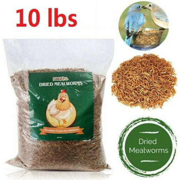 Dried Mealworms for Birds Chickens Hamster Fish Reptile Turtles 10 lbs Mealworms