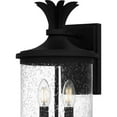 thumbnail image 5 of Quoizel Havana 2-Light Earth Black Outdoor Wall Lantern, 5 of 6