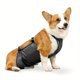 thumbnail image 4 of Bandas para el vientre para perros masculinos, tela transpirable para perros, cubierta impermeable antisuciedad para el vientre, tela lavable para mascotas, 4 of 8