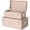 Pink, variant on HofferRuffer Decorative Metal Box, Set of 2 Storage Organizer with Lock Hole and Handle, Toy Box for Kids, 23.8X14.2X9.5 Inches (Pink)